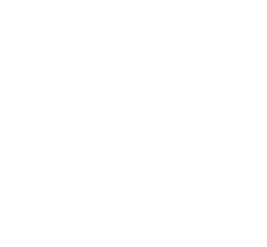 leader logo-blanco
